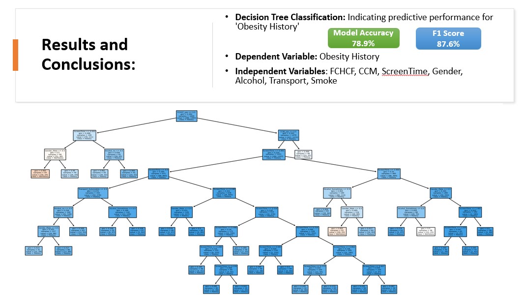 Decision Tree Classification Results